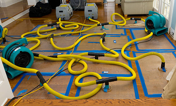 Professional Basement Flood Cleanup technician working in Waterville, MN